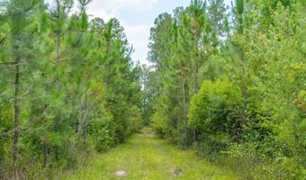Val Del Road, Adel, GA 31620