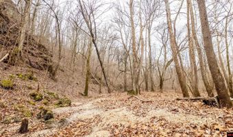 CR 19-A, Alton, MO 65606