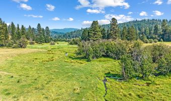 2228 BLUE CREEK Rd, Addy, WA 99101