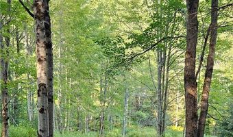 Shaver Hollow, Andes, NY 13731