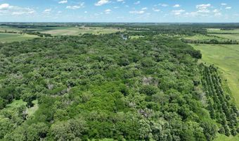 23740 Hickory Ave, Allison, IA 50602