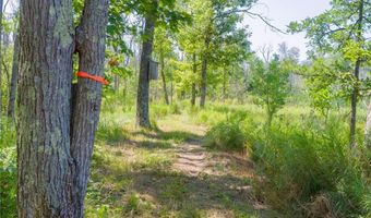 32003 Nuthatch Ave, Aitkin, MN 56431