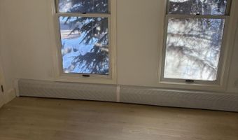 910 W Hallam St 12, Aspen, CO 81611