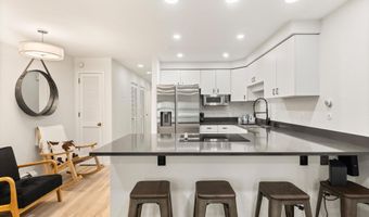 100 E Dean St 1D, Aspen, CO 81611