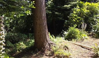 16107 W HOFFELDT Ln, Brookings, OR 97415