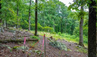100 Block SPANISH MINE, Jessieville, AR 71909