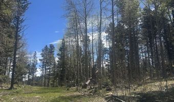 Lot 86 Elk Horn Drive, Angel Fire, NM 87710