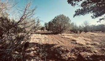 Terry Lane, Ash Fork, AZ 86046