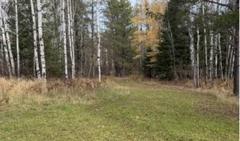 TBD Lane 55 County Road 341, Aurora, MN 55705
