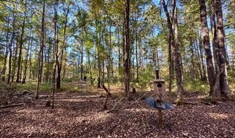 TBD Binnicker Bridge Road, Bamberg, SC 29003