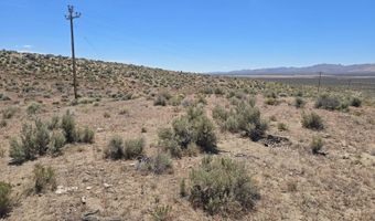 101 Ryndon, Elko, NV 89801