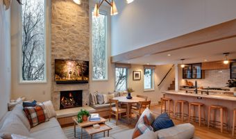 800 S Mill St 201C, Aspen, CO 81611