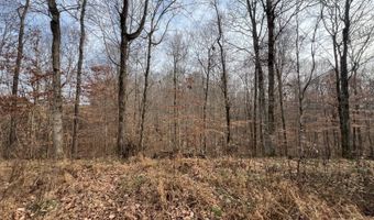 1383 HogBack Rd, Albany, KY 42602