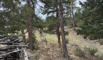 Mockingbird Trail, Bailey, CO 80421