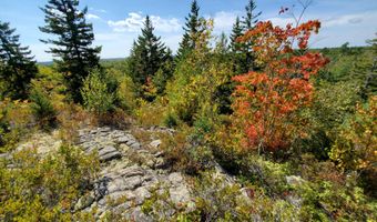 W McMann & Porcupine Hill Road lot 3, Addison, ME 04606