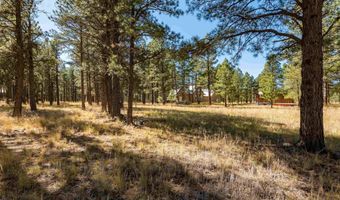 46 Susan Ln, Angel Fire, NM 87710