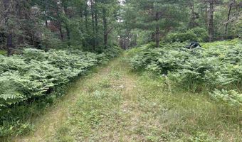 TBD Four Corners, Amasa, MI 49903