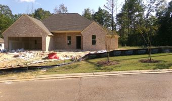 100 Jasmine Cove Dr, Brandon, MS 39042