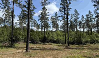 8450 Robinsonville Rd, Atmore, AL 36502