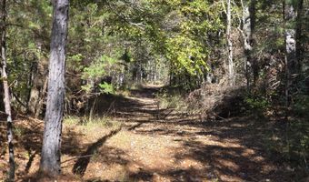 7501 Rainey Morris Rd, Appling, GA 30802