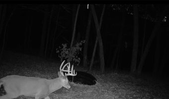 County KK, Alma, WI 54610