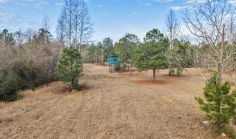 241 Foskey Cemetary Rd, Adrian, GA 31002