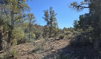 133 Arizona Rd, Ash Fork, AZ 86320
