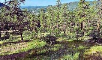 1024 Deer Ridge Dr, Bayfield, CO 81122