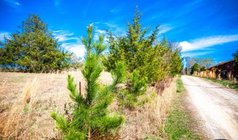 MISTLETOE RD lot 9, Appling, GA 30802