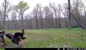 71 8 Klondike Rd, Anderson, MO 64831