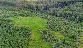 62- Acres Grandmas Hill Rd, Amherst, VA 24521