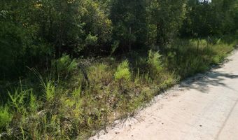 55 Th St, Bell, FL 32619