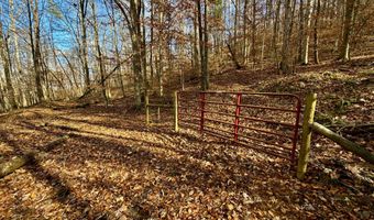 1520 Brittontown Rd, Afton, TN 37616