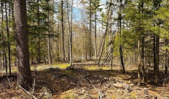 TM 413 L 99 King Road, Alexandria, NH 03222