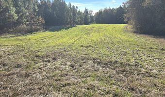 1228 River Rd, Ariton, AL 36311