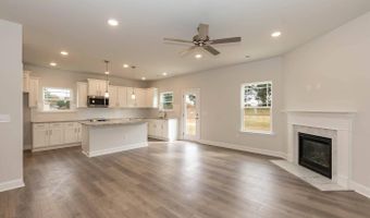 9427 Byron Ct Lot 211, Bailey, NC 27807