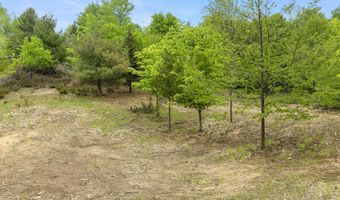 15380 Lake Bluff Dr, Arcadia, MI 49613