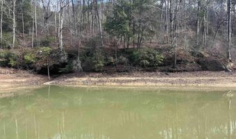 Lot 41 Sipsey Overlook, Double Springs, AL 35553