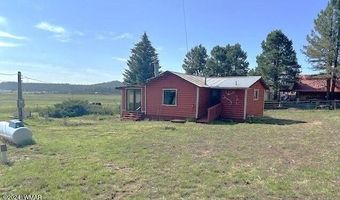 14 County Road 2117, Alpine, AZ 85920