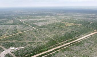Tbd County Road 173, San Diego, TX 78332