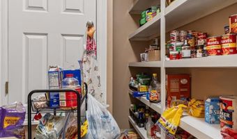 641 Chicora River Rd, Buckatunna, MS 39322