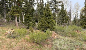 646 W Ski View Dr, Brian Head, UT 84719