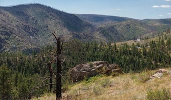 693 Cougar Dr, Bellvue, CO 80512