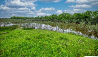 La Vernia Road, Adkins, TX 78101