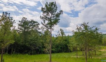 10675 29 Acres Shoal Creek Rd, Ashville, AL 35953