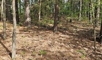 TBD Belvoir LN, Bella Vista, AR 72715