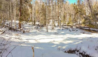 45 Sacramento Dr, Angel Fire, NM 87710