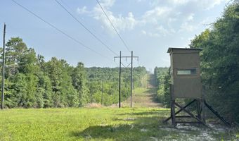 Parcel A Old River Road, Baker, FL 32531