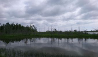 3305 El Cajon Beach Rd, Alpena, MI 49707