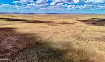 Co Rd N7012 40 Acres, Chambers, AZ 86502